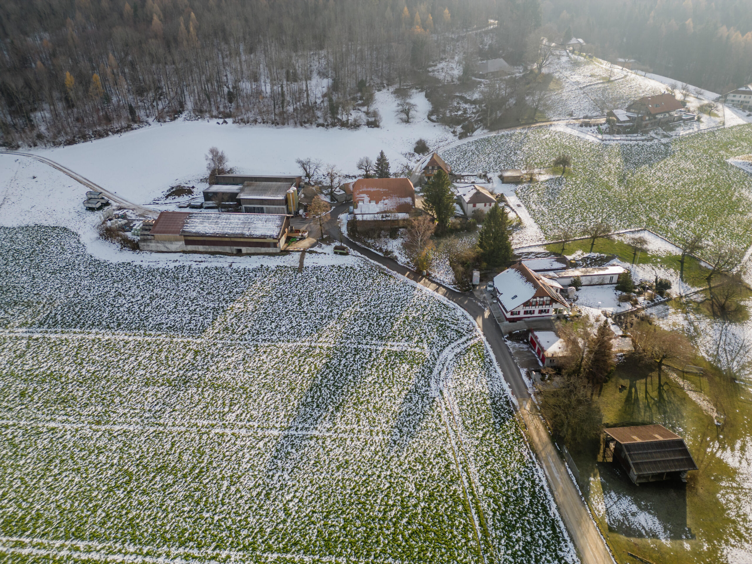 (c) Matthias Käser